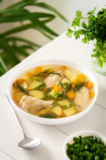 Chicken soup with fresh vegetables, chicken wings broth and
young potatoes with onions and carrots, chopped green onions and
parsley