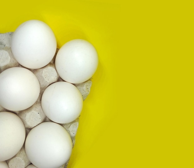 Chicken white eggs on yellow background