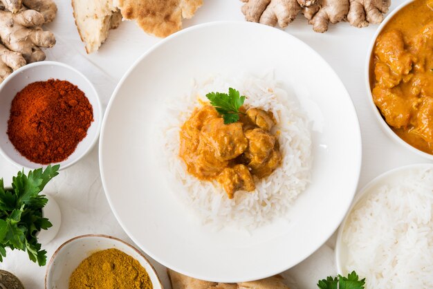 鶏肉のカレーソース添え伝統的なインド料理