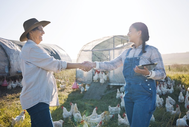 写真 持続可能性と握手する養鶏場と女性、パートナーシップ農業と協力への合意 感謝する人々とタブレット握手する養鶏場と田園地帯