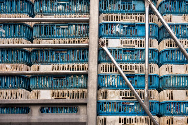 Chickens transportation in cramped cage stacked on a truck