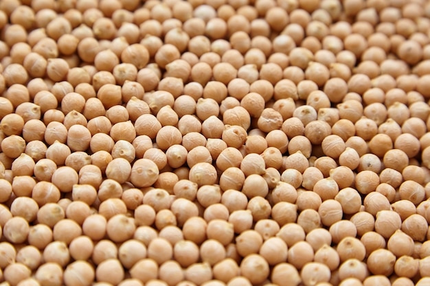 Chickpea seeds or garbanzo beans closeup