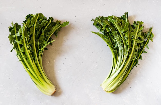 Chicory greens in colander on white wooden table Top view with copy space