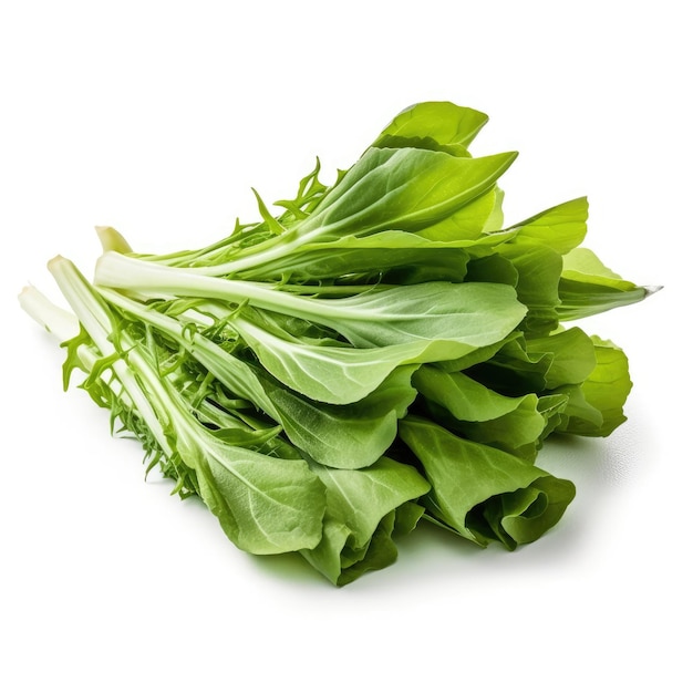 Chicory Greens isolated on white background generative AI