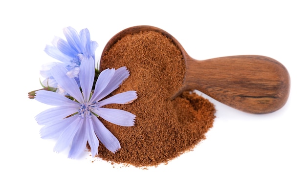 Chicory powder and flower in wooden spoon isolated on white background cichorium intybus