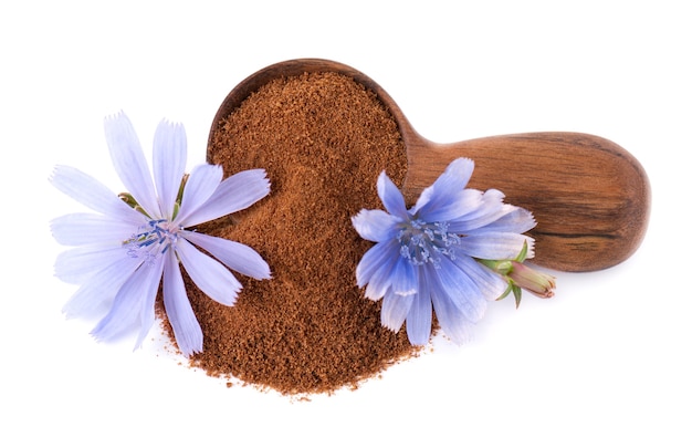 Chicory powder and flower in wooden spoon isolated on white background cichorium intybus