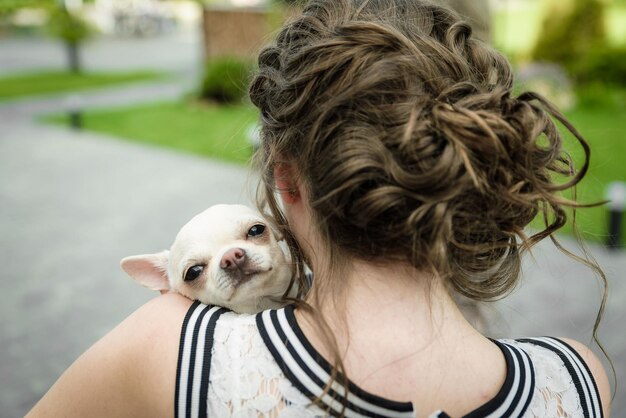 Chihuahua hond in de hand in kostuum