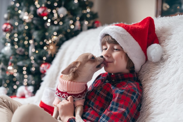 Chihuahuahond in Kerstmissweater likt kleine jongen.