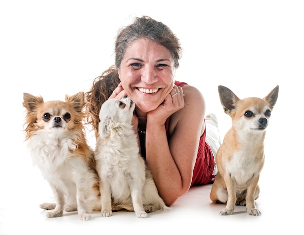 chihuahuas, owner and obedience