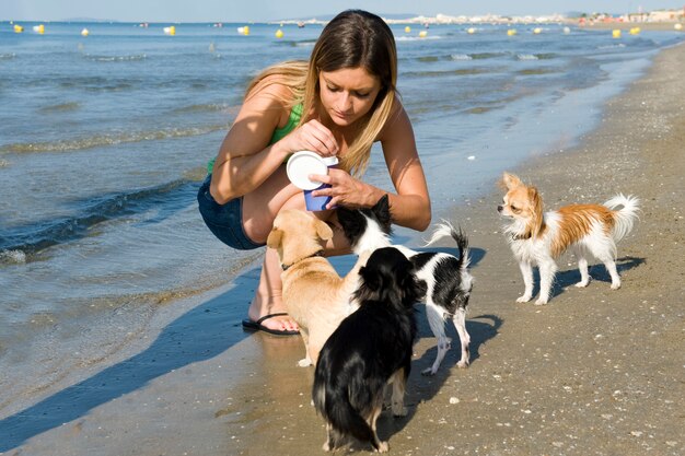 Chihuahuas and woman on the beach