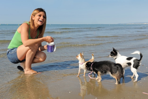 Chihuahuas and woman on the beach