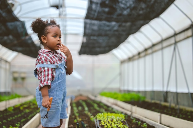 Bambino in agricoltura i bambini della fattoria con la natura della pianta verde salva l'ecologia per il concetto di persone