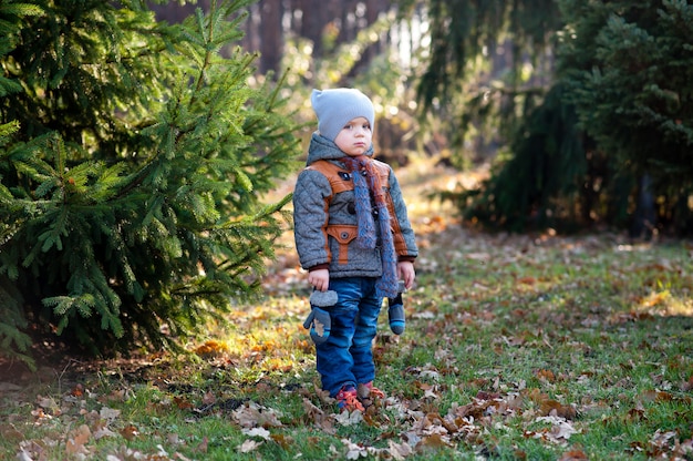 Il bambino in autunno park