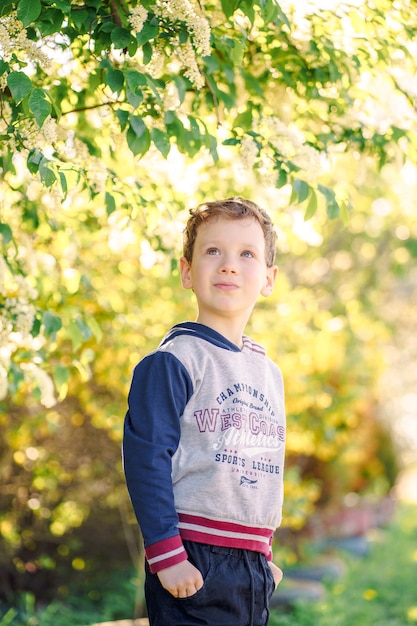 child under the bird cherry tree