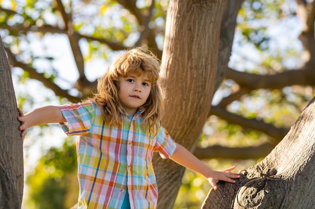 Child boy climbing high tree in the summer park portrait of cute kid boy sitting on the tree climbin