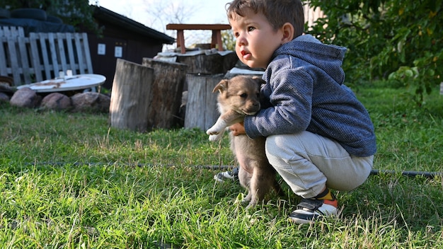 子供は小さな子犬を腕に抱えています。