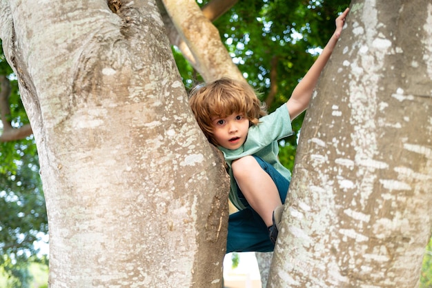 Child climbing. Kids boy climb on the tree.