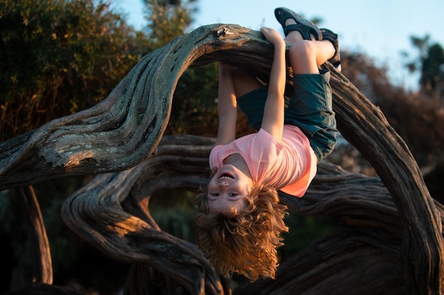 木登りの子供かわいい子供が公園で木に登る幸せな子供時代のコンセプト
