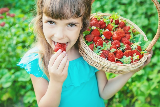 子供は庭でイチゴを収集します選択的な焦点