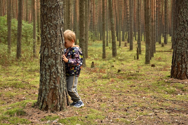 A child in a coniferous forest a pine forest a child among tree trunks in the forest