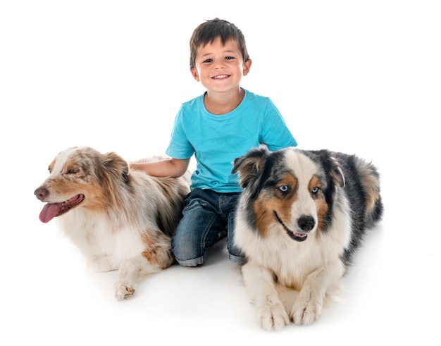 Child and dogs