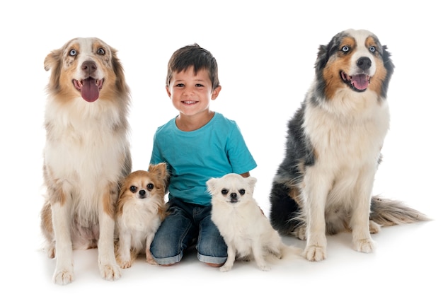 Child and dogs