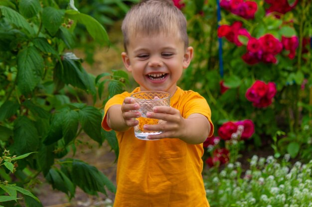 子供は夏にきれいな水を飲みます