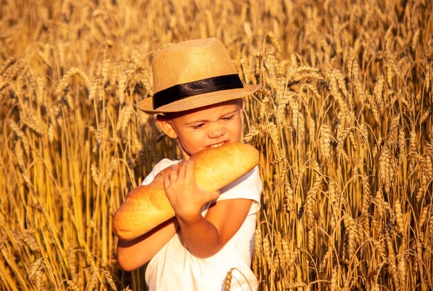 Child eating a loaf in a wheat field. Selective focus