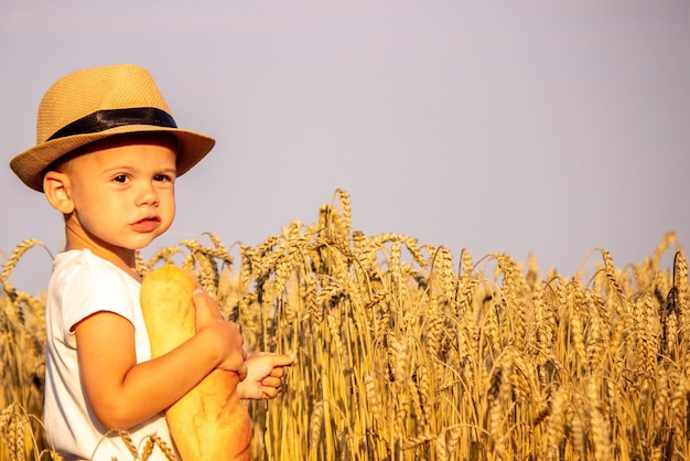 Child eating a loaf in a wheat field. Selective focus