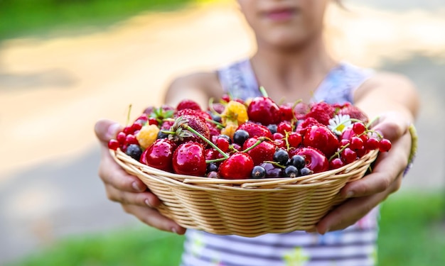 The child eats berries in the garden Selective focus