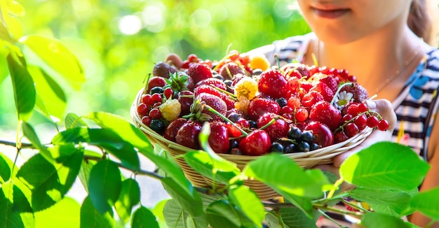 The child eats berries in the garden Selective focus