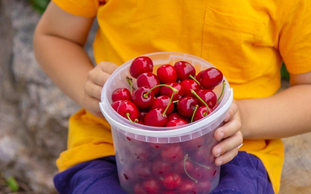 The child eats cherries in the garden