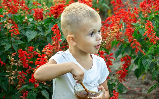 Il bambino mangia il miele in giardino.