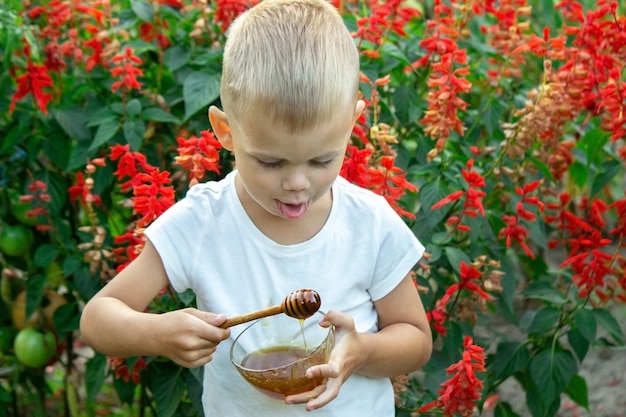 Child eats honey in the garden.