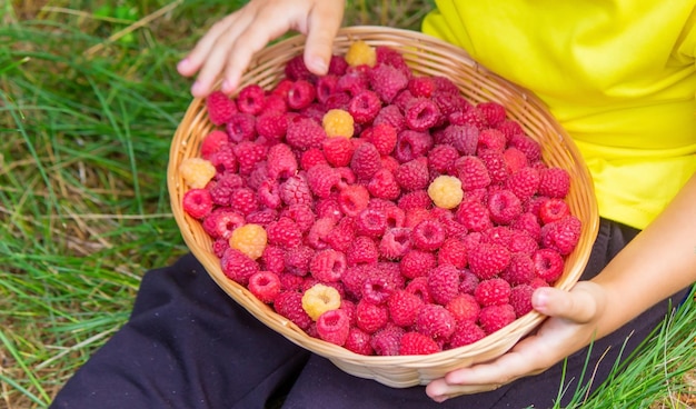 A child eats raspberries raspberries in a bowl