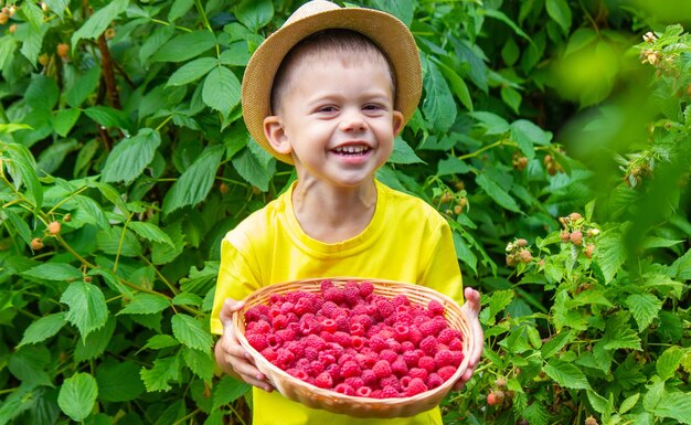 子供がボウルに入ったラズベリーを食べる