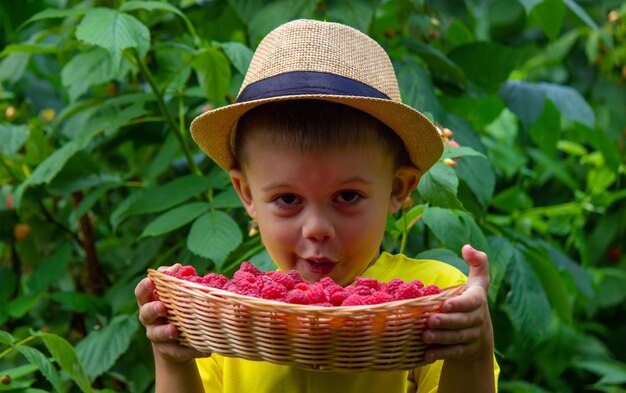 A child eats raspberries raspberries in a bowl