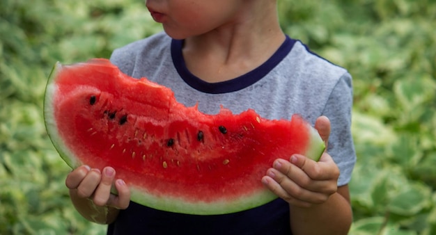 A child eats a watermelon Selective focus