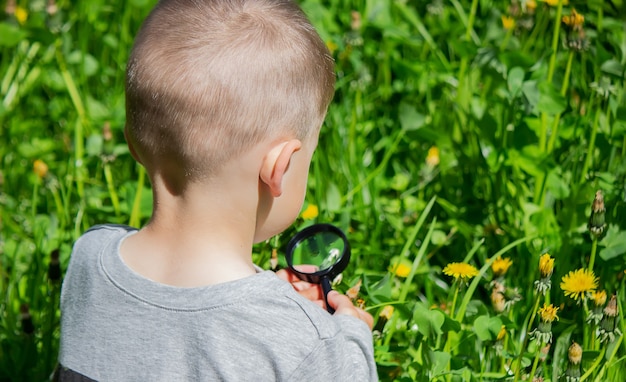 子供は虫眼鏡で花を調べます。自然。セレクティブフォーカス