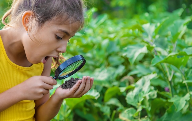 The child examines the ground with a magnifying glass. selective focus.