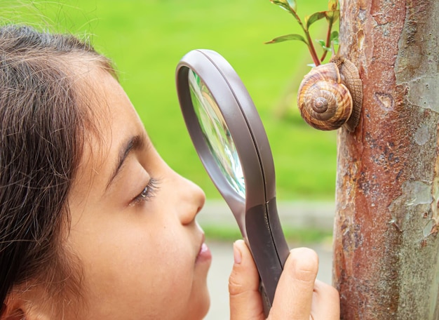 The child examines the snails on the tree Selective focus