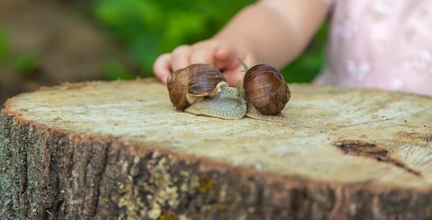 子供は木の上のカタツムリを調べます選択的な焦点