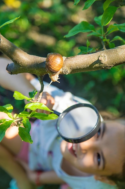 子供は木の上のカタツムリを調べます選択的な焦点
