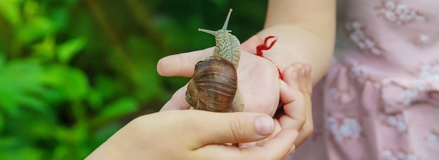 The child examines the snails on the tree Selective focus