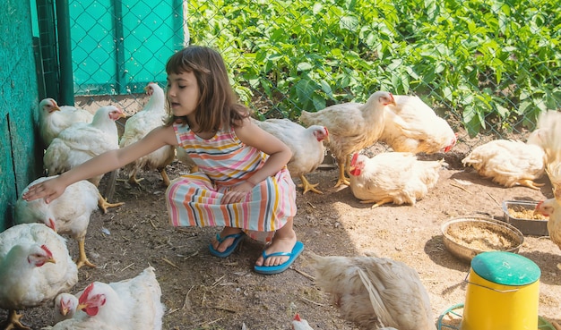 A child on a farm with a chicken. 