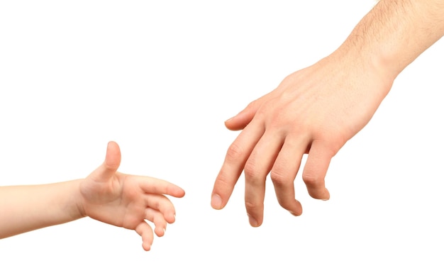 Child and father hands isolated on white