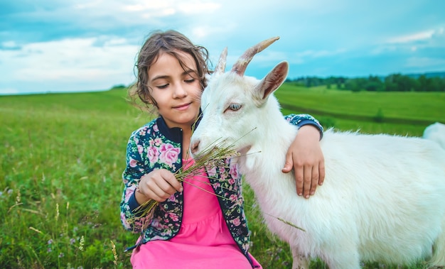 The child feeds the goat in the meadow