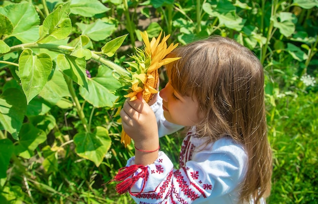 ひまわり畑の子供。セレクティブフォーカス。自然。