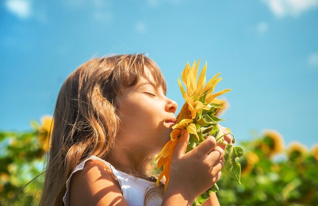 Child in a field of sunflowers. Selective focus. Nature.