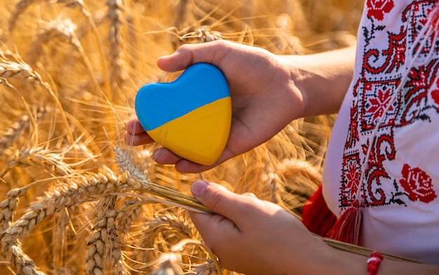 Child in a field of wheat with the flag of Ukraine Selective focus Nature